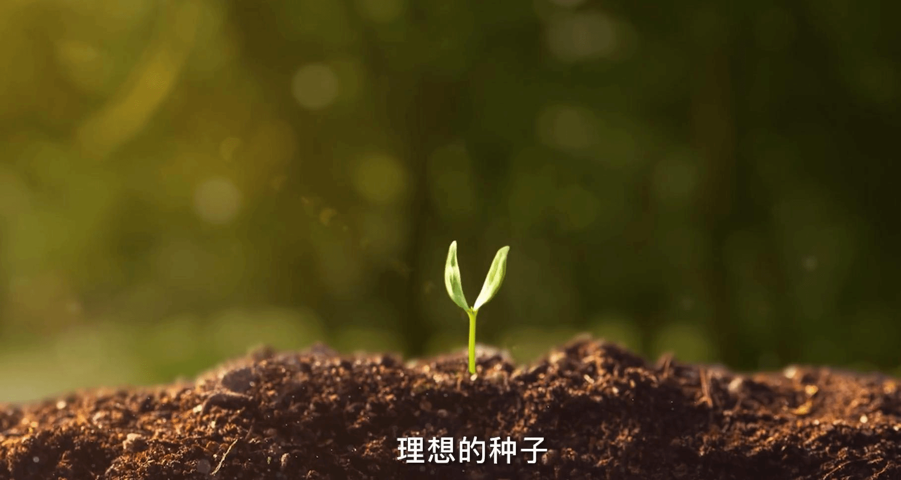 ag娱乐