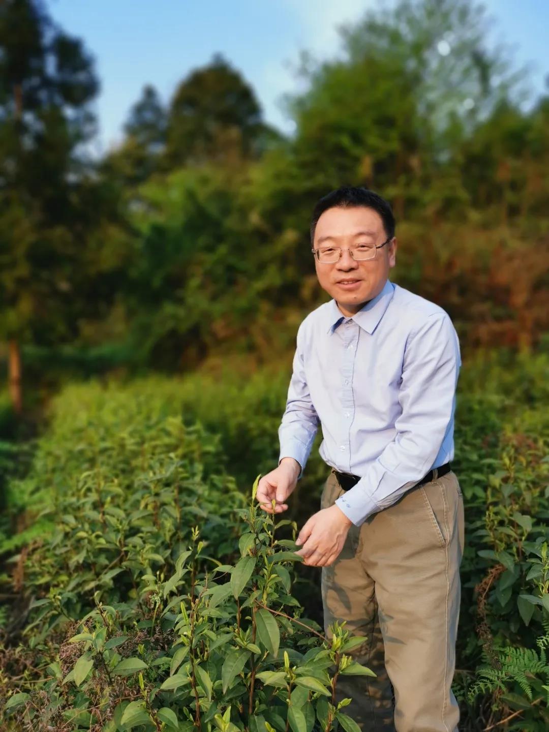 ag娱乐