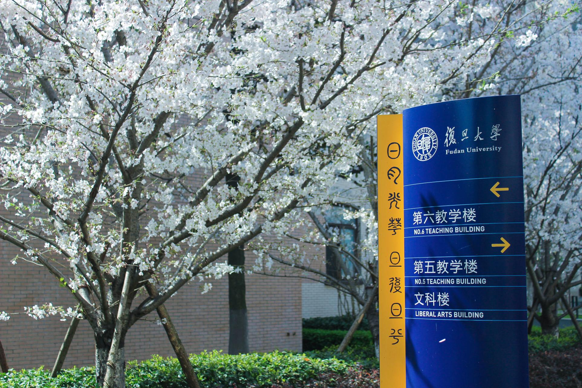 ag娱乐