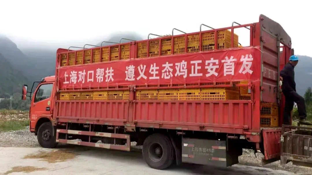 ag娱乐