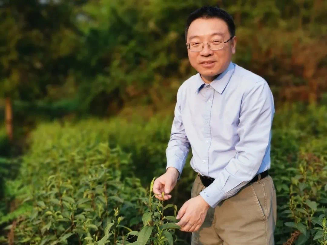 ag娱乐